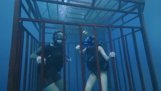 <i>47 Meters Down</i> comes up for air, gets a sequel